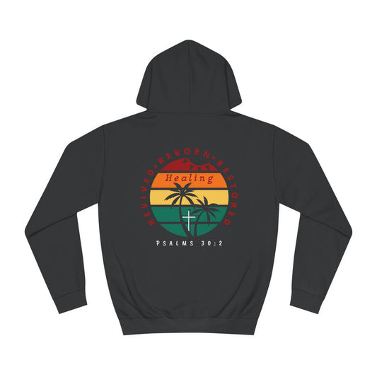 Psalms 30:2 Hoodie